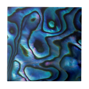USA, Colorado, Lafayette. Abalone-Schale Fliese