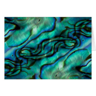 USA, Colorado, Lafayette. Abalone-Schalen-Montage
