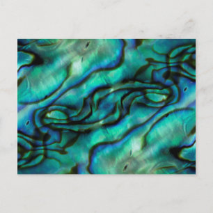 USA, Colorado, Lafayette. Abalone-Schalen-Montage Postkarte