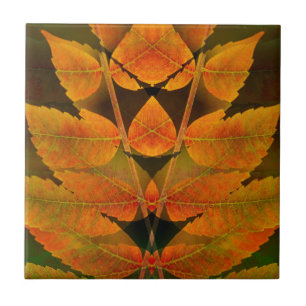 USA, Colorado, Lafayette. Herbst-Sumach-Montage Fliese