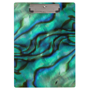 USA, Colorado, Lafayette. Muschel Abalone Klemmbrett