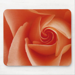USA, Colorado, Lafayette. Pfirsichrose Nahaufnahme Mousepad