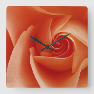 USA, Colorado, Lafayette. Rose nah Quadratische Wanduhr