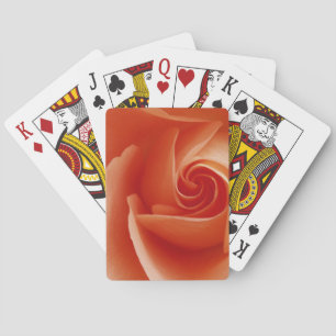 USA, Colorado, Lafayette. Rose nah Spielkarten