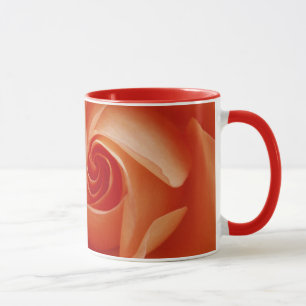 USA, Colorado, Lafayette. Rose nah Tasse