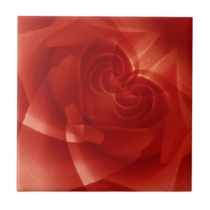 USA, Colorado, Lafayette. Roter Rosenmontage Fliese