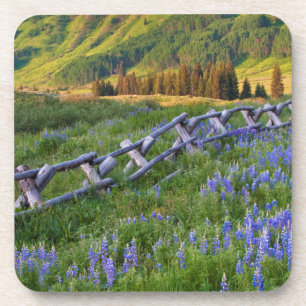 USA, Colorado. Lupinen und Eisenbahnzaun Getränkeuntersetzer