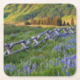 USA, Colorado. Lupinen und Eisenbahnzaun Rechteckiger Pappuntersetzer