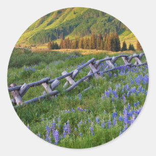 USA, Colorado. Lupinen und Holzzaun Runder Aufkleber