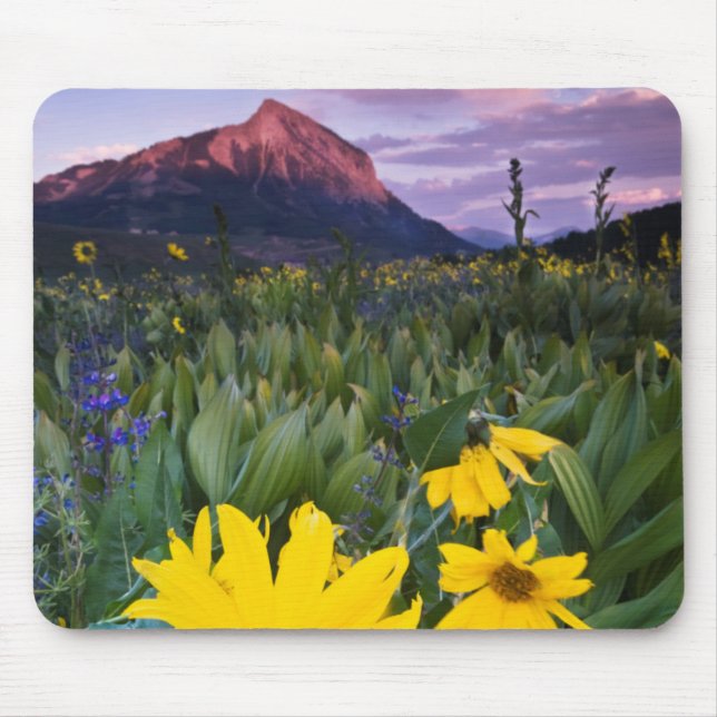 USA, Colorado, Mt. Crested Butte Mousepad (Vorne)