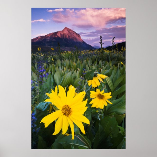 USA, Colorado, Mt. Crested Butte Poster (Vorne)