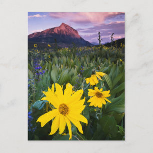 USA, Colorado, Mt. Postkarte