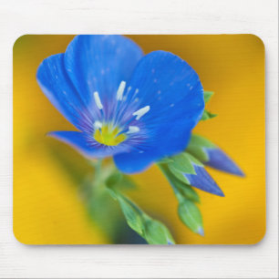 USA, Colorado. Nahe Anreicherung von Kraneschneige Mousepad