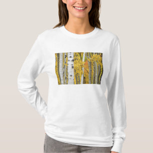 USA, Colorado, Rocky Mountains. Intime Espen T-Shirt