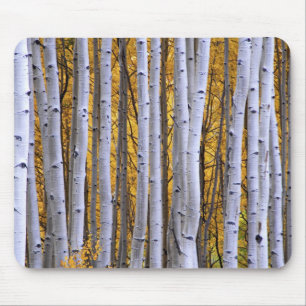USA, Colorado, Rocky Mountains. Intime Szene Mousepad