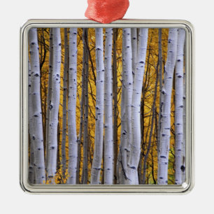 USA, Colorado, Rocky Mountains. Intime Szene Silbernes Ornament