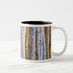 USA, Colorado, Rocky Mountains. Intime Szene Zweifarbige Tasse