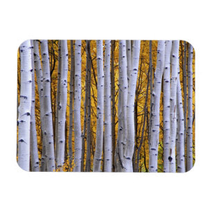 USA, Colorado, Rocky Mountains. Intimität Magnet