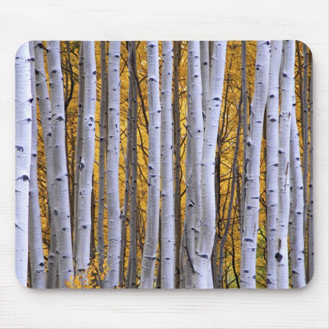 USA, Colorado, Rocky Mountains.  Intimität Mousepad (Vorne)