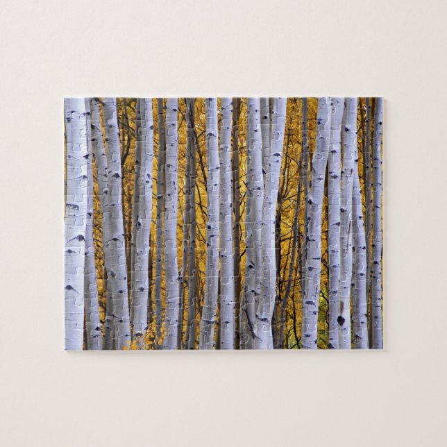 USA, Colorado, Rocky Mountains.  Intimität Puzzle (Horizontal)