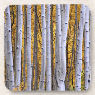 USA, Colorado, Rocky Mountains.  Intimität Untersetzer