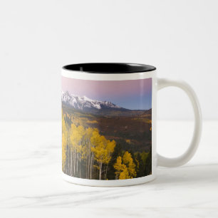 USA, Colorado, Rocky Mountains.  Morgenröte Zweifarbige Tasse