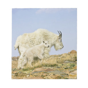 USA, Colorado, Rocky Mountains, Mount Evans, Notizblock