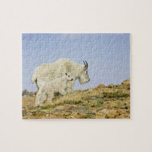 USA, Colorado, Rocky Mountains, Mount Evans, Puzzle