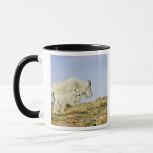 USA, Colorado, Rocky Mountains, Mount Evans, Tasse