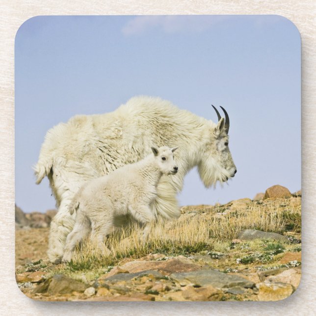 USA, Colorado, Rocky Mountains, Mount Evans, Untersetzer (Vorderseite)