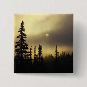 USA, Colorado, San Isabel National Forest. Button