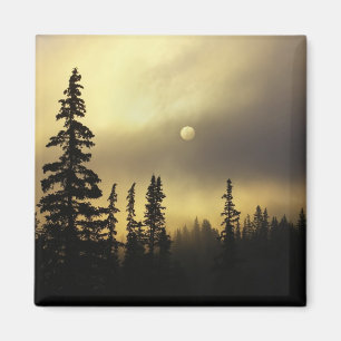 USA, Colorado, San Isabel National Forest. Magnet