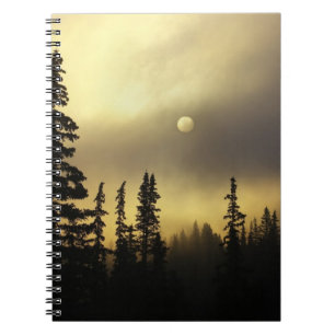 USA, Colorado, San Isabel National Forest. Notizblock