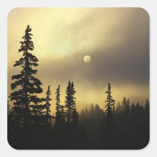USA, Colorado, San Isabel National Forest. Quadratischer Aufkleber