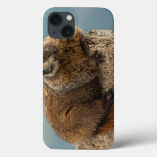 USA, Colorado, San Juan Mountains 2 Case-Mate iPhone Hülle
