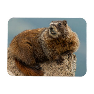 USA, Colorado, San Juan Mountains 2 Magnet