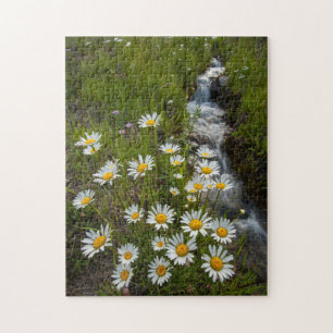 USA, Colorado, San Juan Mountains. Gänseblümchen Puzzle