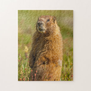 USA, Colorado, San Juan Mountains Puzzle