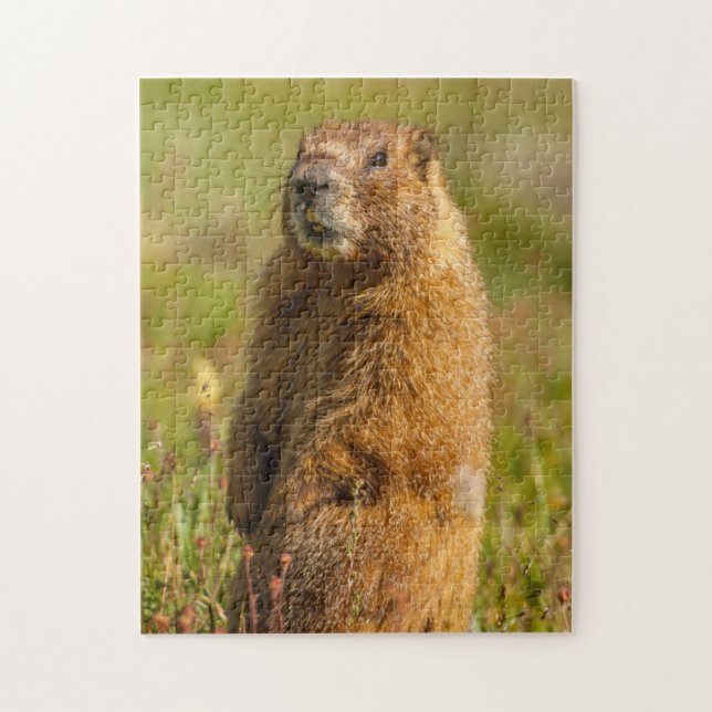 USA, Colorado, San Juan Mountains Puzzle (Vertikal)