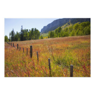 USA, Colorado, San Juan National Forest, entlang Fotodruck