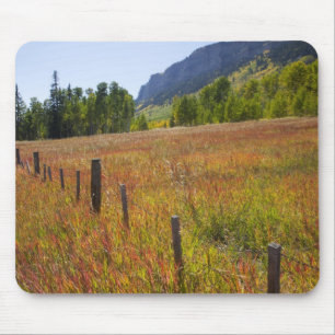 USA, Colorado, San Juan National Forest, entlang Mousepad