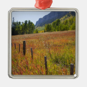 USA, Colorado, San Juan National Forest, entlang Silbernes Ornament