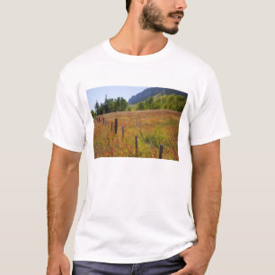 USA, Colorado, San Juan National Forest, entlang T-Shirt