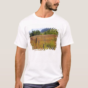 USA, Colorado, San Juan National Forest, entlang T-Shirt