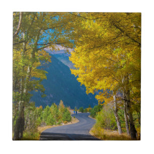 USA, Colorado. Straße flankiert von Espen Fliese