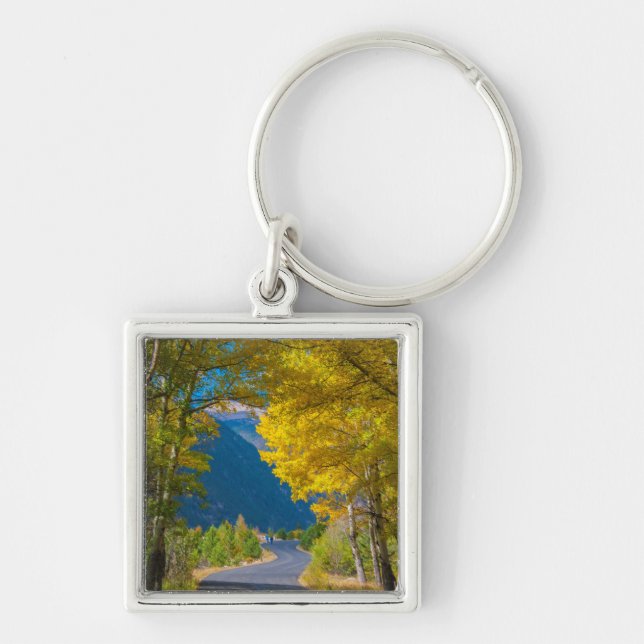 USA, Colorado. Straßenbelag mit Aspen Schlüsselanhänger (Vorne)