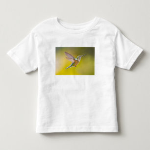 USA, Colorado, Summit County, Heeney. Seitenansich Kleinkind T-shirt