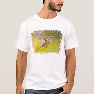USA, Colorado, Summit County, Heeney. Seitenansich T-Shirt