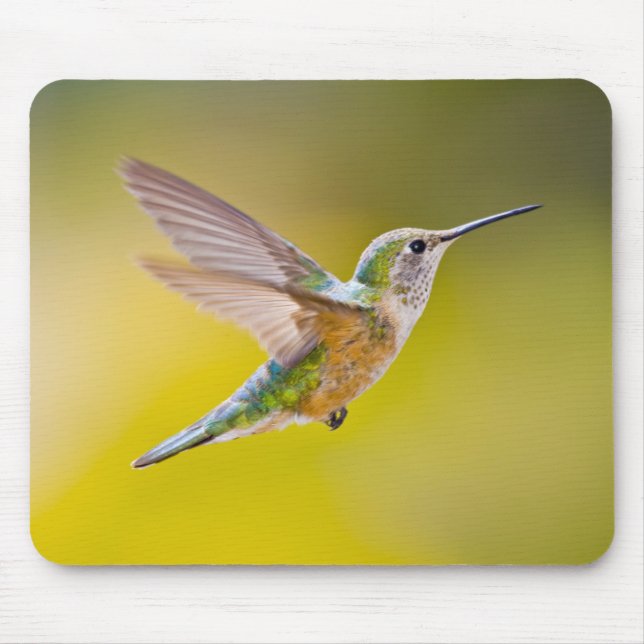 USA, Colorado, Summit Landkreis, Heeney. Seitenans Mousepad (Vorne)