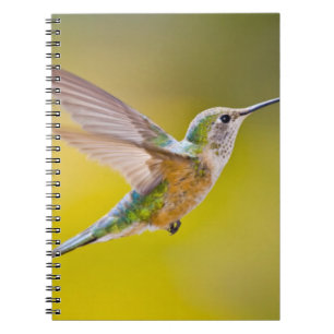 USA, Colorado, Summit Landkreis, Heeney. Seitenans Notizblock